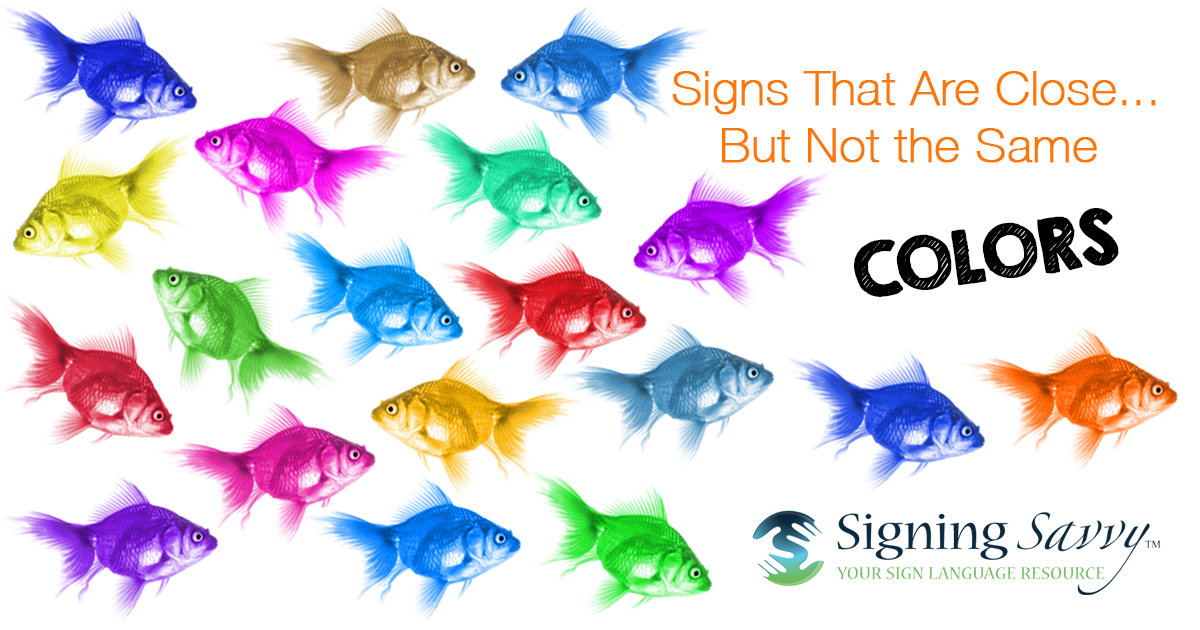 ASL | Colors, Nouns, Dialogues | American Sign Language | Able Lingo ... ASL | Colors, Nouns, Dialogues | American Sign Language | Able Lingo ...