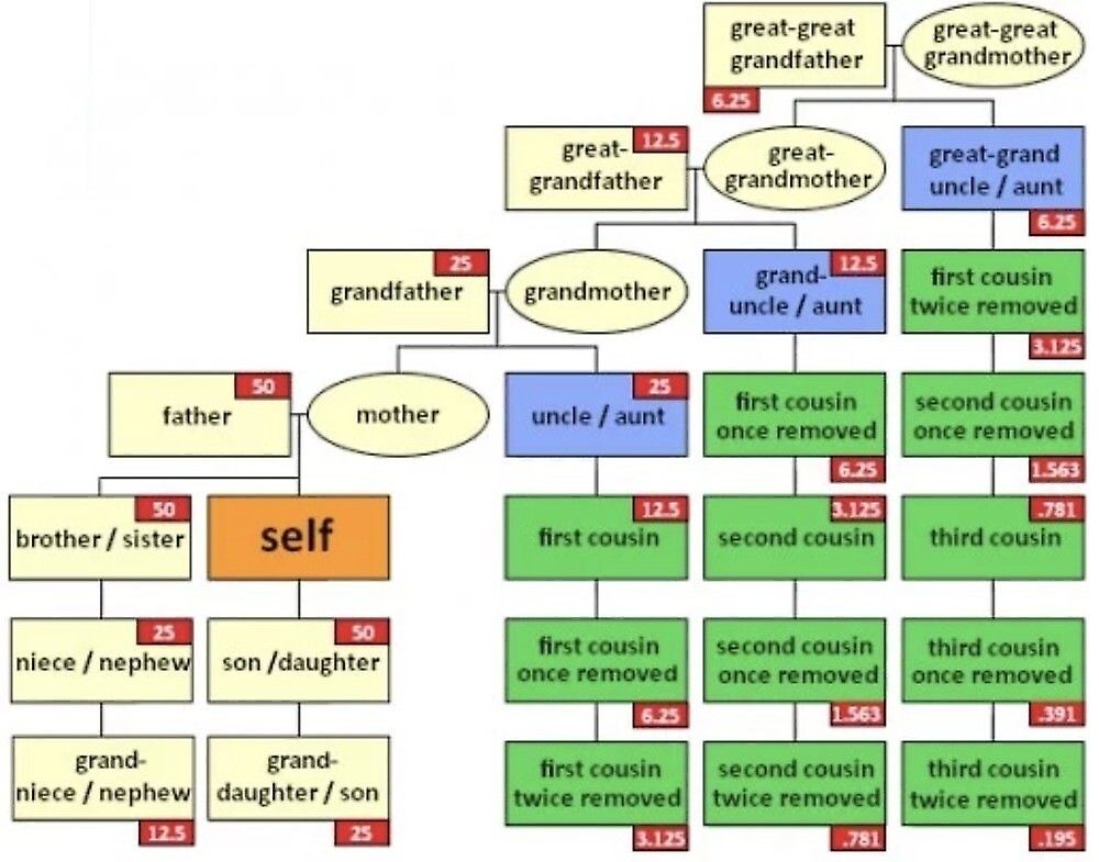 How do I refere to the daughter of the sister of my grandma? : r/ENGLISH How do I refere to the daughter of the sister of my grandma? : r/ENGLISH